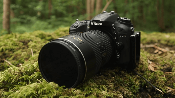 A Nikon camera on the forest floor
