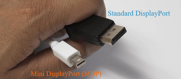 Somebody holding two different DisplayPort connectors